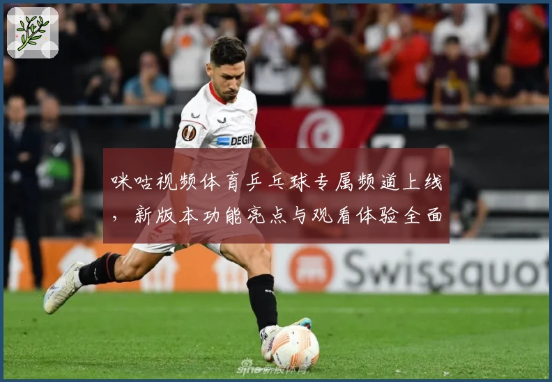 咪咕视频体育乒乓球专属频道上线,新版本功能亮点与观看体验全面解析